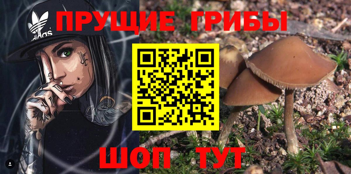 Псилоцибиновые грибы ЛСД Смоленск